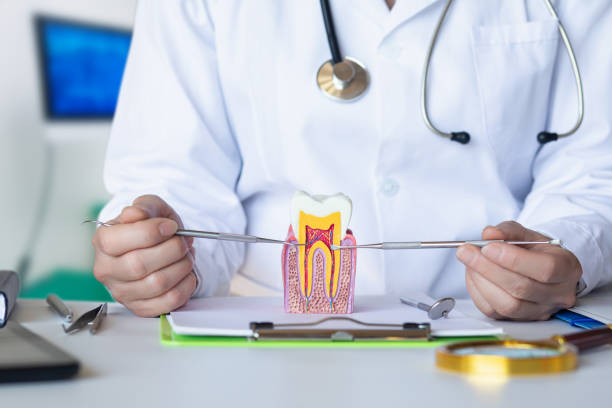 Best Emergency Dentist for Lost Fillings or Crowns in China Grove, TX